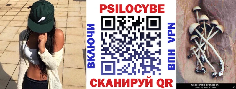 наркота  Бутурлиновка  Псилоцибиновые грибы Psilocybine cubensis 